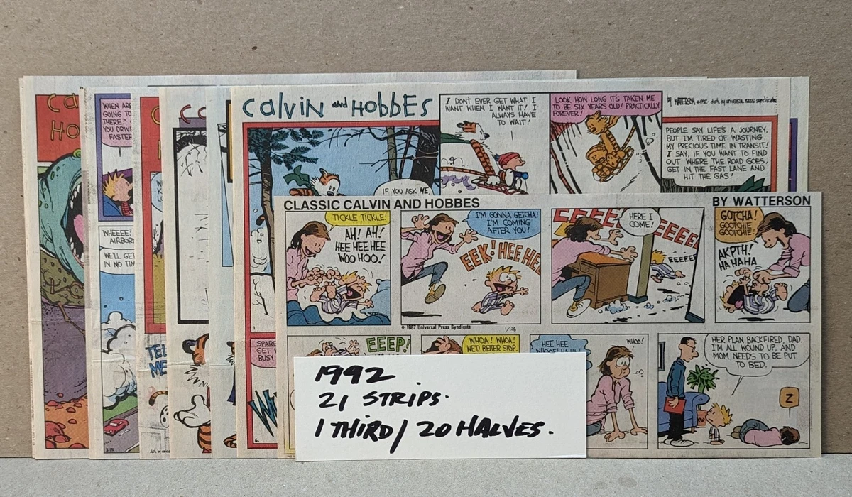 Calvin And Hobbes In Collectible Newspaper Comics for sale | eBay