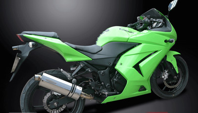 Kawasaki ZXR 250 NINJA - 2008-2012 - Schalldämpfer Auspuff oval Edelstahl 350mm DE