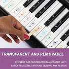 Beginner Piano Keyboard Sticker Note Labels For 49/61/76/88 Key Electronic New