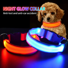 LED Dog Collar Light Up Night Safety Glow Adjustable Pet Anti Lost USB Recharge