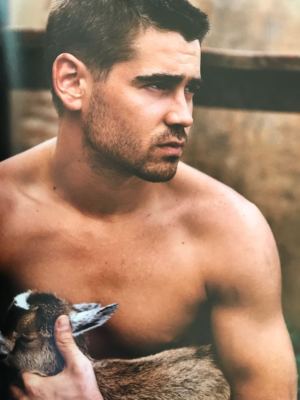 アート+エンタメ Bruce Weber   Roadside America Buy Bruce Weber: Roadside America (Spezial Fotografie; Stern
