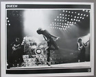 Queen 8X10 glossy black & white promo photo Live !