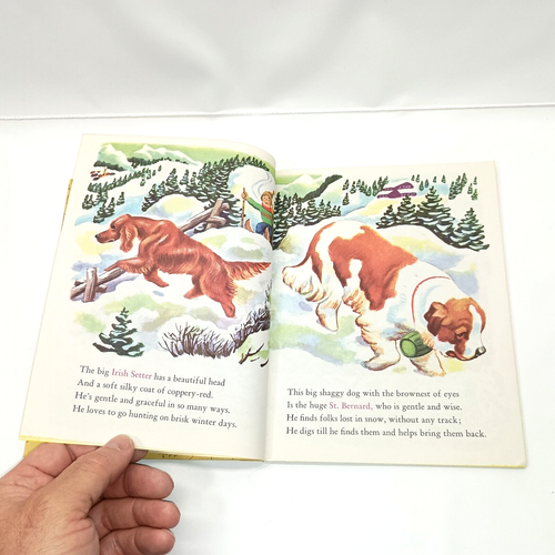 Verified "A" 1st Edition Antique 1952 The LITTLE GOLDEN BOOK OF DOGS #131 - Afbeelding 6 van 8