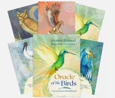 Oracle of the Birds 46 Card Deck and Guidebook Ruland Kühne