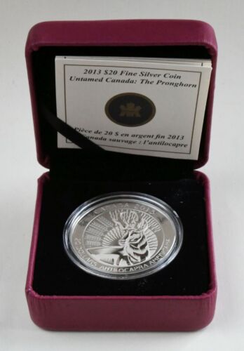 2013 Canada 20 $ Untamed Canada: Pronghorn 99,99% Fine Silver Coin in OGP - Bild 12 von 18