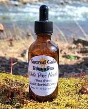 White Pine Needle Tincture, Organic Fresh Herbal Extract