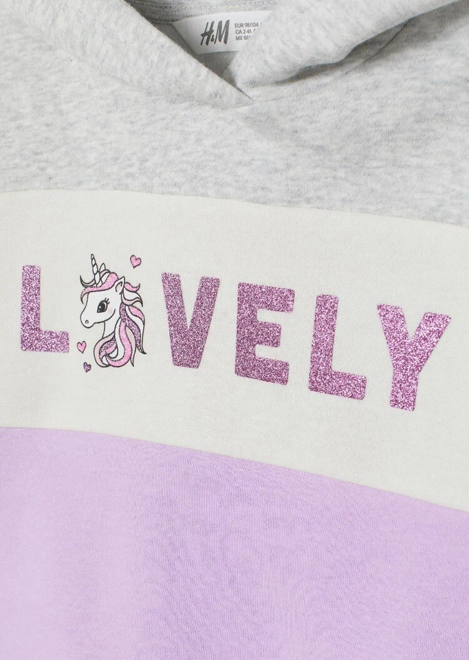 NUEVO CON ETIQUETAS H&M Talla 8-10 Sudadera con Capucha Púrpura Con Capucha Forrada Jersey Foto 2 de 3