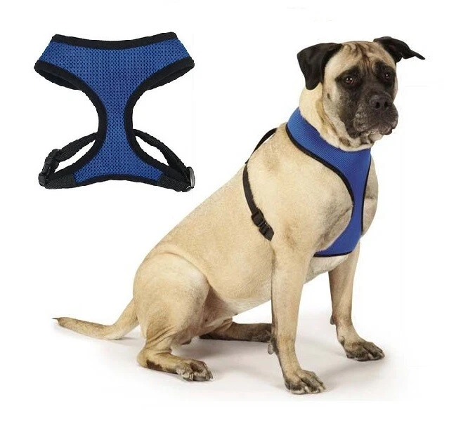 Dog Harness Bulk Packs Anti Pull Colorful Breathable Mesh Chest Plate Control