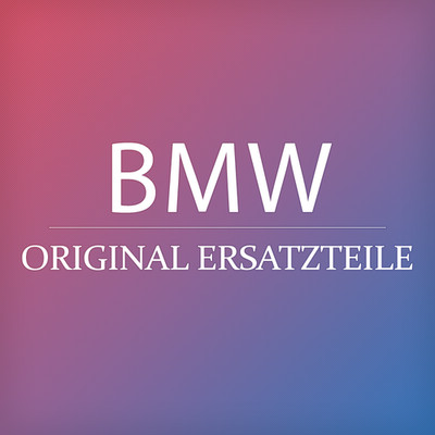 Original BMW F39 X2 16d 18d 18dX 18i 20d 20dX 20i 20iX Einleger 1 36106899333