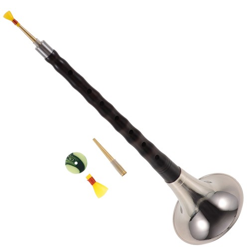 1 Ensemble D'instruments De Vent Pour Les Débutants Suona