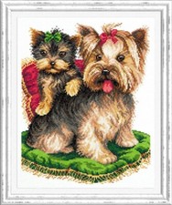 "Beauty" Unprinted Counted Funny Cross Stitch Kit Magic Needle 59-17