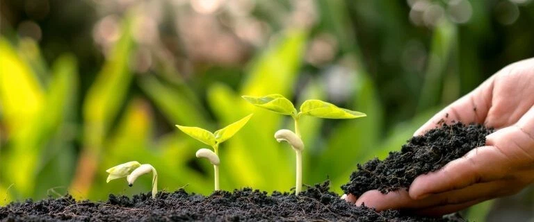 CONCIME ORGANICO MINERALE 5/10/20 Kg ALL CROPS ORTO AGRUMI FRUTTETO BIOLOGICO - Immagine 4 di 4