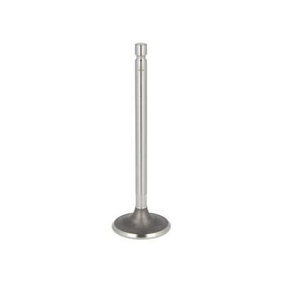 FITS PARADOWSCY PURS008 INTAKE VALVE OE REPLACEMENT