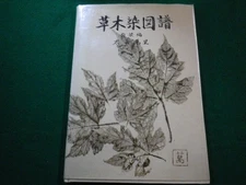 Plant Dyeing Map by Banri Ota Seiwa Kako FAIM2023031608