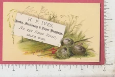 A320 H. P. Ives paper hangings book seller trade card Salem, MA bird nest Prang