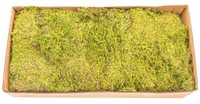 Nadeco® Moos Platten Natur 0,5Kg | Lappenmoos | Deko Moos | Bastelmoos | Naturmo
