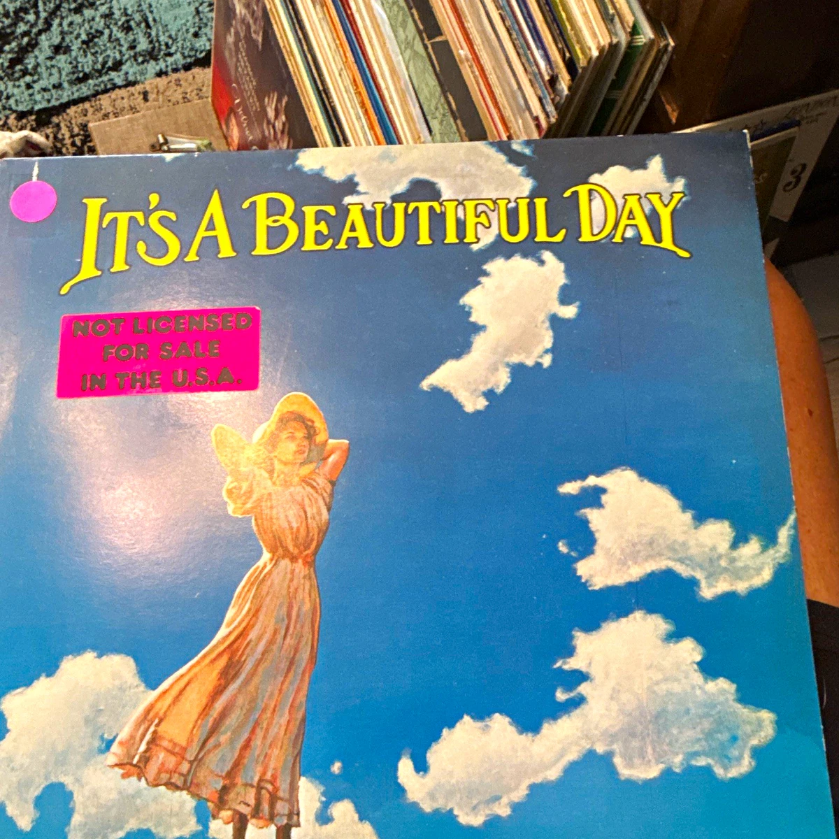 25+ It is a Beautiful Day Vinyl Records for sale | Updated Oct 2026