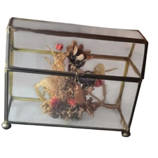 70s Terrarium With Dried Flower Arrangement Inside Glass Brass Footed With Lid