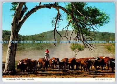 L349016 Australien Eine Outback Rinderszene John Hinde Biskaya Grüße E Ludwig