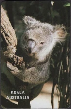 Playing Cards Single Card Old Named * KOALA AUSTRALIA * Bear in Tree Picture D