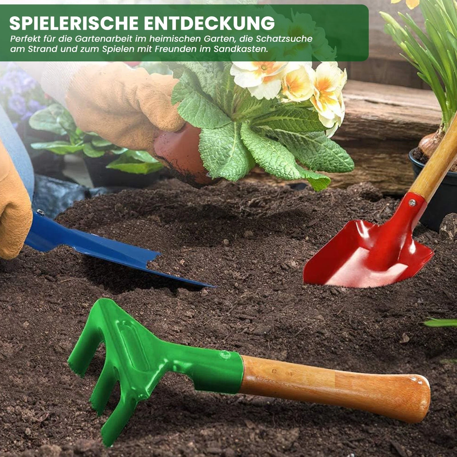 Bild 7 von 7