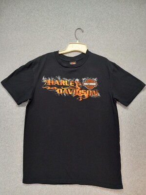 Harley-Davidson Tシャツ L size MADE IN USA s-l400.jpg