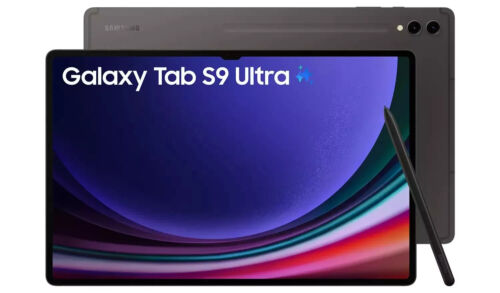 Samsung Galaxy Tab S9 Ultra SM-X910 256 Go Wi-Fi graphite - Neuf - Photo 1/3