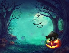 10x8ft Halloween Cemetery Horror Pumpkin Cat Photo Background Vinyl Backdrop LB