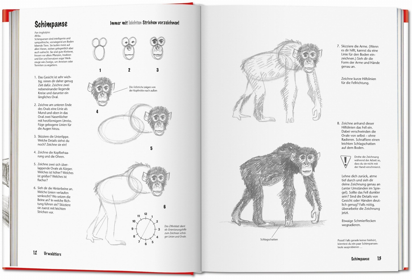 Thumbnail - Taschen | Zeichnen Schritt Für Schritt | Buch | Deutsch (2021) | Ger,