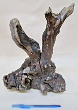 manzanita burl wood  R207 8 1/2" x 9" x 12" tall