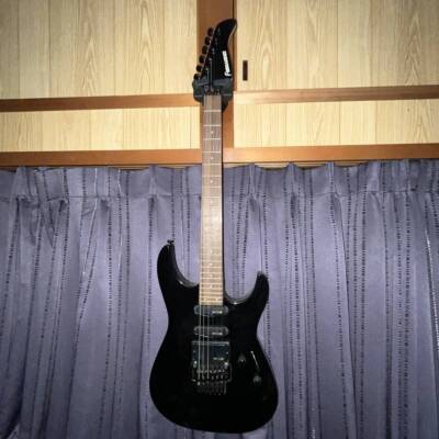FERNANDES エレキギター　　FR55？ s-l400.jpg