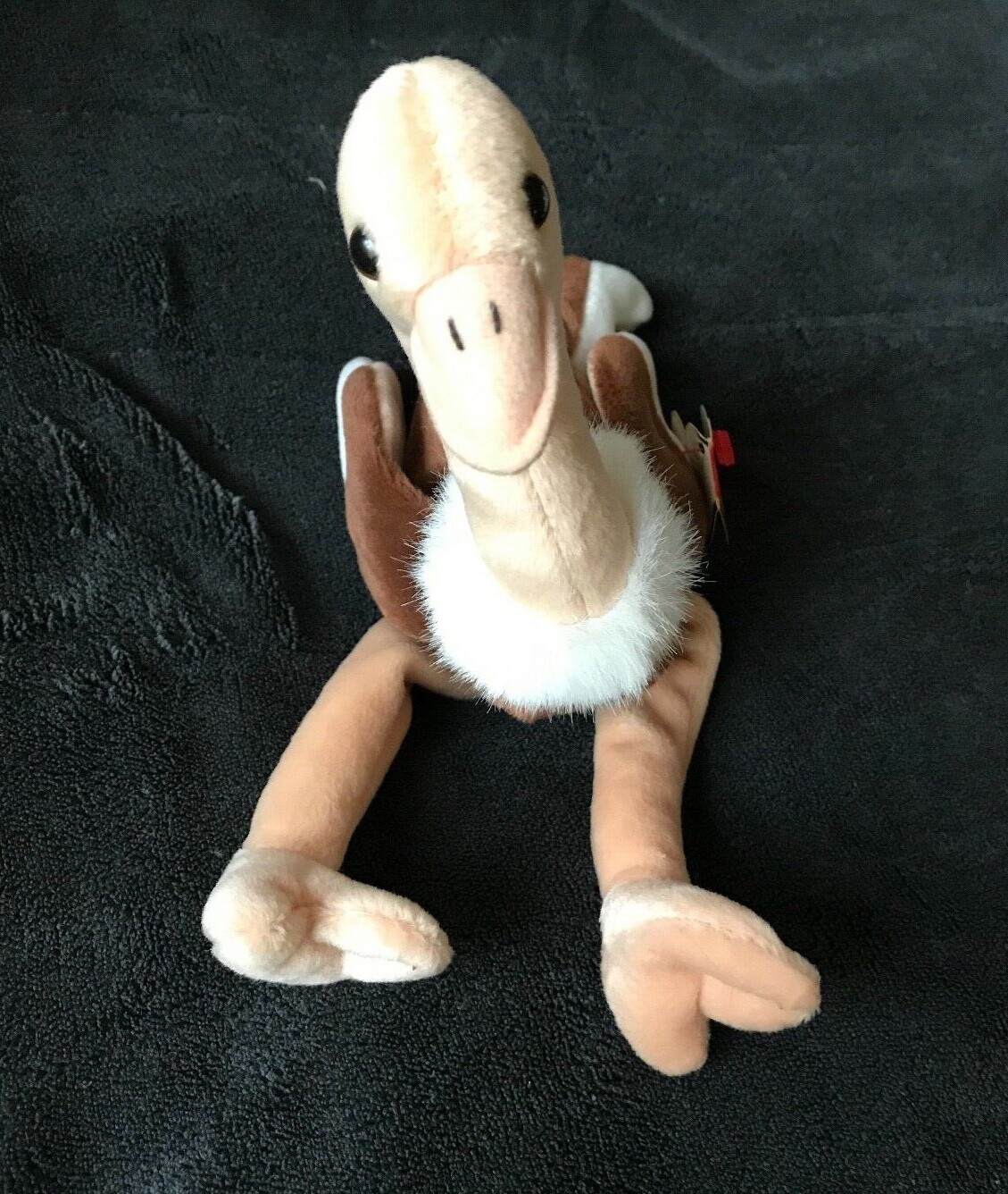 Foto 3 di 4