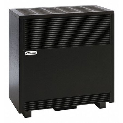 Williams Enclosed Front Room Heater 3501522A Natural Gas 35000 BTU for sale  online | eBay