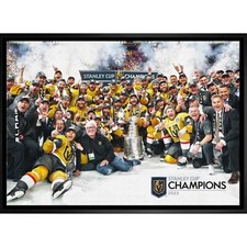 Vegas Golden Knights  