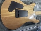 PRS SE Paul Reed Smith with new hard case  MAKE OFFER — photo 4