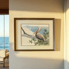 J.E. Draper Original 1980 Watercolor – Coastal Pelican Florida Wildlife Painting