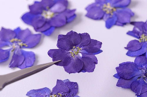 Dried Pressed Flowers Natural Epoxy Resin Candle Nail Art Scrapbooking Craft AU - Picture 116 of 210