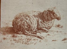 "PECORA SDRAIATA" BAGELAAR A DUJARDIN, STAMPA ROSSA, ACQUAFORTE, H&L 157, ~1810