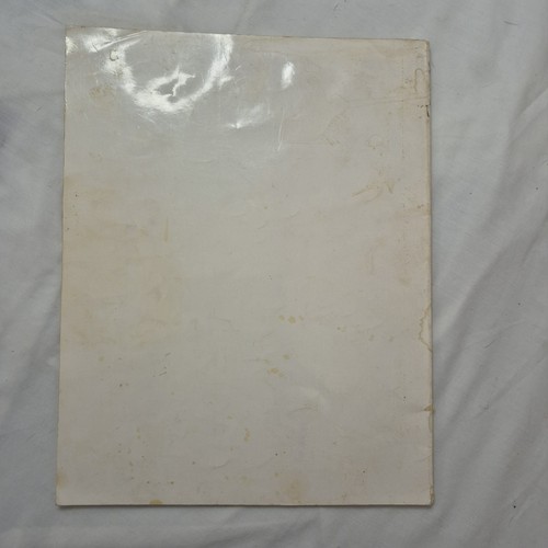 1911 bis 1990 Die 500 vom Indianapolis Star großes Softcover Buch - Bild 5 von 6