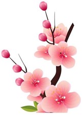 Beautiful Pink Cherry Blossom car Stickers 2 Packs of 5.9-inch Vinyl