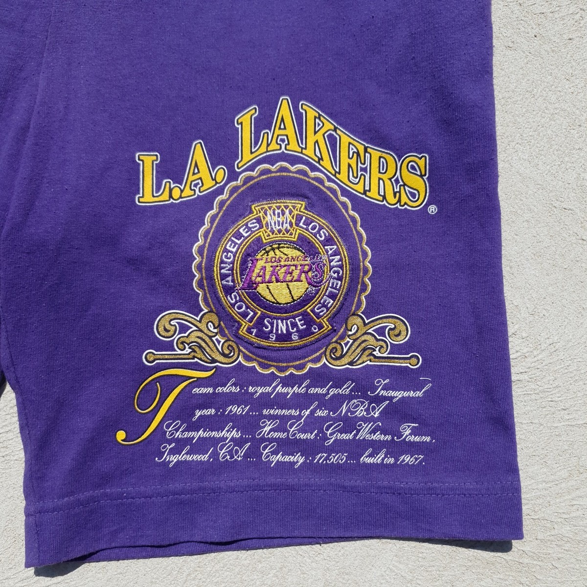 Vintage 90s Nutmeg LA Lakers Shorts Mens Purple Basketball