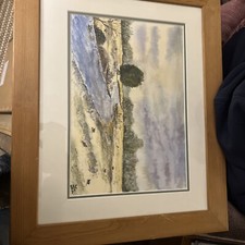 original watercolour painting signed framed By Sue Willis 