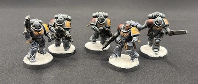 LACKIERT GW Warhammer 40k Space Wolves 5X Primaris Intercessors MTm