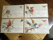 4-Richard A. Donnelly Trade Cards-Gent Outfitter-Birds/Cat-Trenton, NJ.  R383