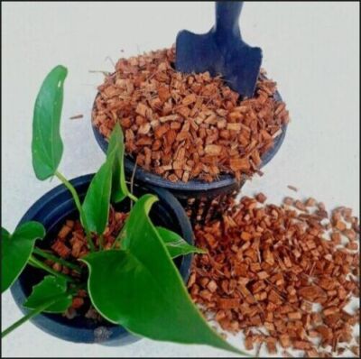 100g Coconut Husk Coco Chips 100% Natural Dry Growing Anthurium Organic Fiber