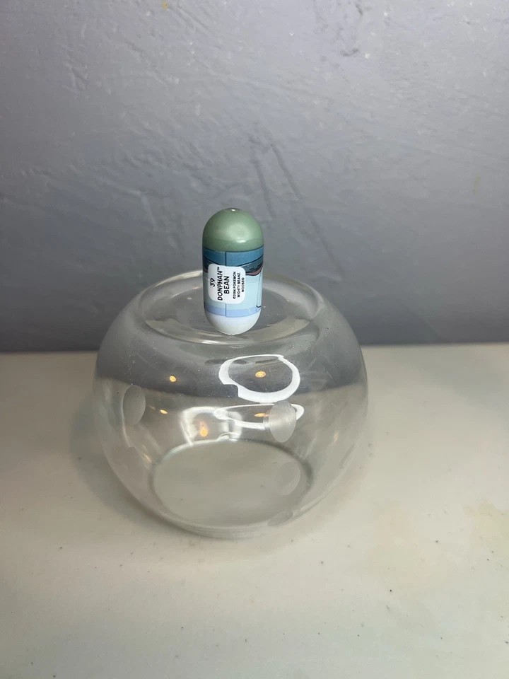 Donphan Bean #39 2004 Pokemon Vintage Mighty Beanz Moose Enterprise - Image 3 of 4