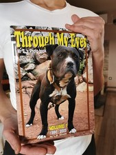 NEW BOOK -"THROUGH MY EYES"- VOLUME 1 - SOFTCOVER VERSION- APBT PIT BULL TERRIER