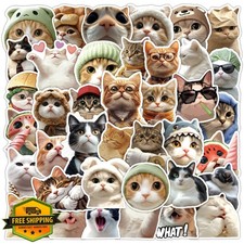 50Pcs Humorous Cat Meme Stickers Funny Animal Decals Laptop