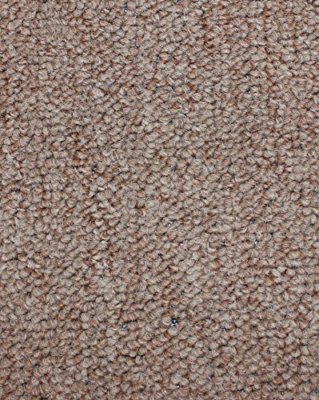 Koeckritz Trail Blazer Sage Brown Indoor/Outdoor Level Loop Durable Area Rug