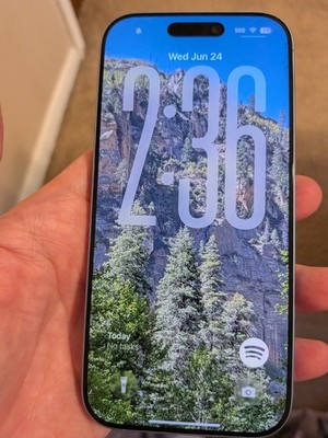 Apple iPhone 17 256GB Mist Blue Unlocked